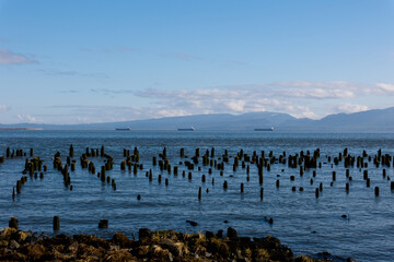 sea and sky with ships in background