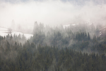 Winter scene in  Carpathian Mountains, Ukraine.