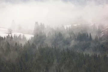 Rolgordijnen zonder boren Mistig bos Winters tafereel in de Karpaten, Oekraïne.