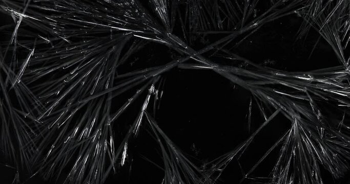 Crystallization of ice crystals on a black background.
