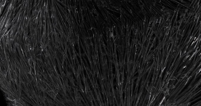 Crystallization of ice crystals on a black background.