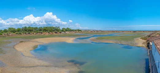 Foto op Aluminium Wetlands of Ria Formosa national park at Portugal © dudlajzov