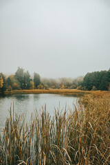 misty morning on the river