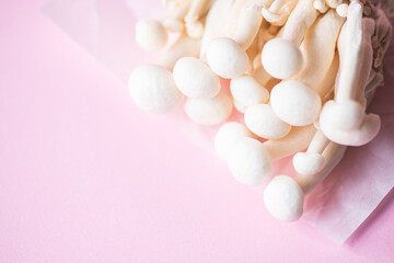 Fresh white shimeji mushrooms. Top view and copy space. Pink background.
