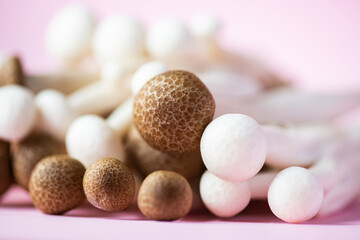 Fresh white and brown shimeji mushrooms. Close up, selective focus.
