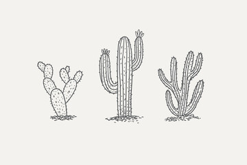 Set of drawn cacti of different types. Desert plant on a light background isolated. Can be used for your design. Vector illustration.