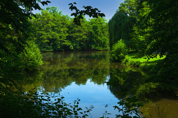 Fototapeta na wymiar Luscious green trees foliage and summer blue sky reflections in serene lake waters. Georgengsrten park, Hannover, Geramany