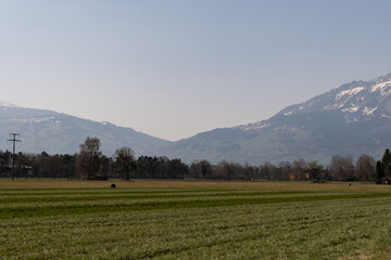 Fototapeta na wymiar Arable field in an alpine scenery in spring time in Schaan in Liechtenstein