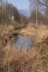 Small river in a park in Schaan in Liechtenstein