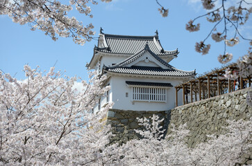 Fototapeta premium 春の津山城 備中櫓 岡山県津山市
