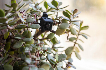 small micro surveillance camera for covert espionage.