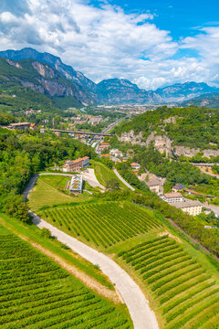 Vineyards near Trento in Italy