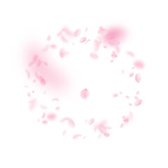 Sakura petals falling down. Romantic pink flowers frame. Flying petals on white square background. Love, romance concept. Pleasant wedding invitation.