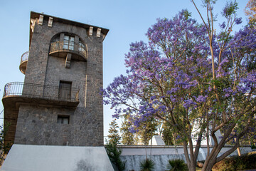 Fototapeta na wymiar old stone tower in the park
