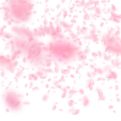 Fototapeta na wymiar Sakura petals falling down. Romantic pink flowers gradient. Flying petals on white square background. Love, romance concept. Remarkable wedding invitation.