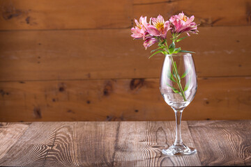 Beautiful natural flowers in the glass cup on the table