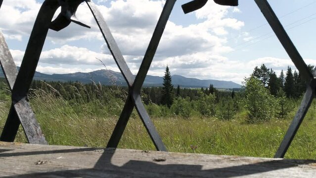 Close up of black metal lattice with green field behind. Scene. Long grass and summer meadow on cloudy sky background.