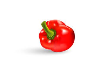 bell peppers vegetables isolated Vector illustrations