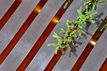 Metal abstract.  Closeup of stainless steel and copper tubing bench with plant peeking through 