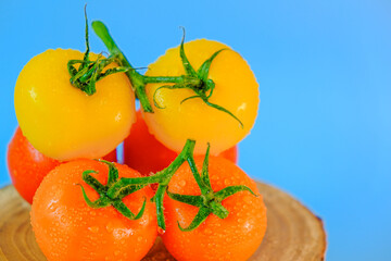 Tomatoes in drops of water. Fresh tomatoes set. Tomatoes yellow, red on a wooden saw cut on a blue background.Organic bio tomatoes in water drops close-up. Fresh farm vegetables. 