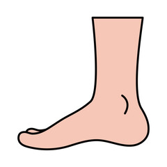 human foot icon