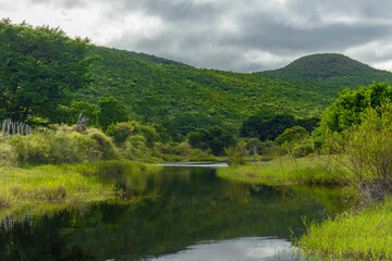 Paisagem com verde com céu azul na Chapada Diamantina