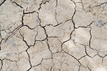 cracked earth texture. Cracked earth due to drought