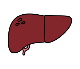 liver organ icon