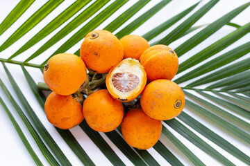 Betel nut on green leaves
