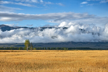 Fototapeta premium Field, mountains and clouds. Evening landscape after rain.