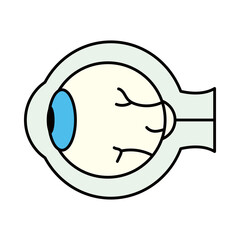 eye organ icon