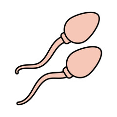 spermatozoons icon isolated