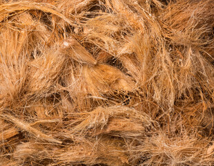 coconut husk fiber or coir, commercially important natural fiber extracted from outer husk of coconut fruit, taken from above, background texture