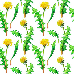 Seamless background with yellow flowers and dandelion leaves isolated on a white background