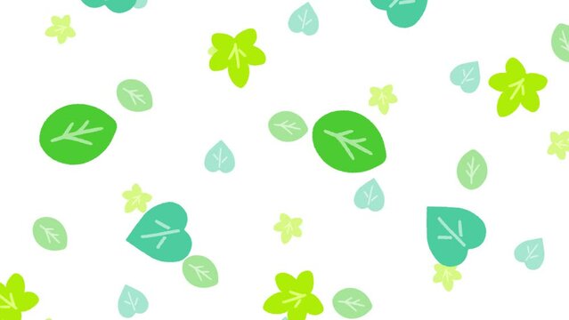くるくる舞う緑の葉