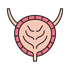 bladder organ icon