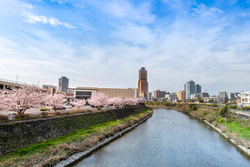 桜満開の春、静岡県浜松市中心部アクトタワーと馬込川
