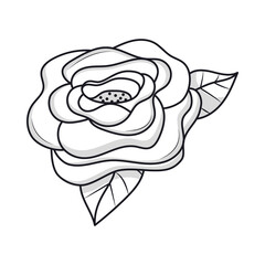 rose and leaves