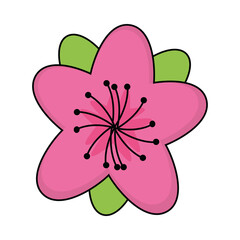 sakura flower icon