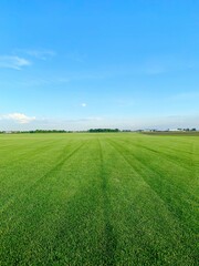 Blue skies, green grass and a sod farm in Plainfield IL
