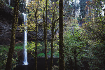 Silver Falls Waterfall in Oregon State Park Trail