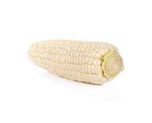 Fresh white sweet corns on a white background, Hokkaido pure white corn