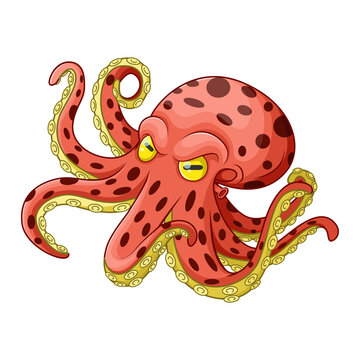 Cartoon octopus on white background