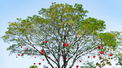 The tree hang with paper heart and star shape decoration with blue sky background. Large tree hanging with red, pink heart paper and white star decorative outdoor