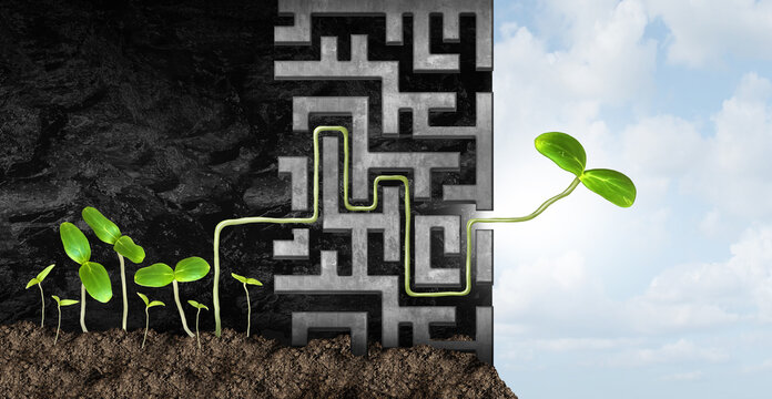 Leadership success power and succeeding metaphor as a leader concept with a seedling solving a puzzle maze to find the source of light and freedom in a 3D illustration style.