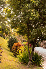 Linda paisagem com cores da Primavera