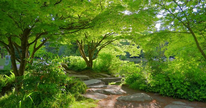 Establishing shot of bench in park with small pond and path in slow motion at summer day in Vancouver, Canada, North America. Day time on May 2021. Still camera. ProRes 422 HQ.