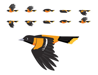 Baltimore Oriole Flying Animation Cute Cartoon Vector Illustration