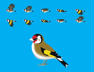 European Goldfinch Flying Animation Cute Cartoon Vector Illustration