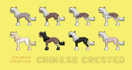 Dog Chinese Crested Coloring Variations Cartoon Vector Illustration